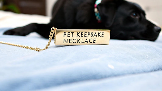 Personalized Pet Necklace: Keepsake for Your Furry Friend - Hidden Forever