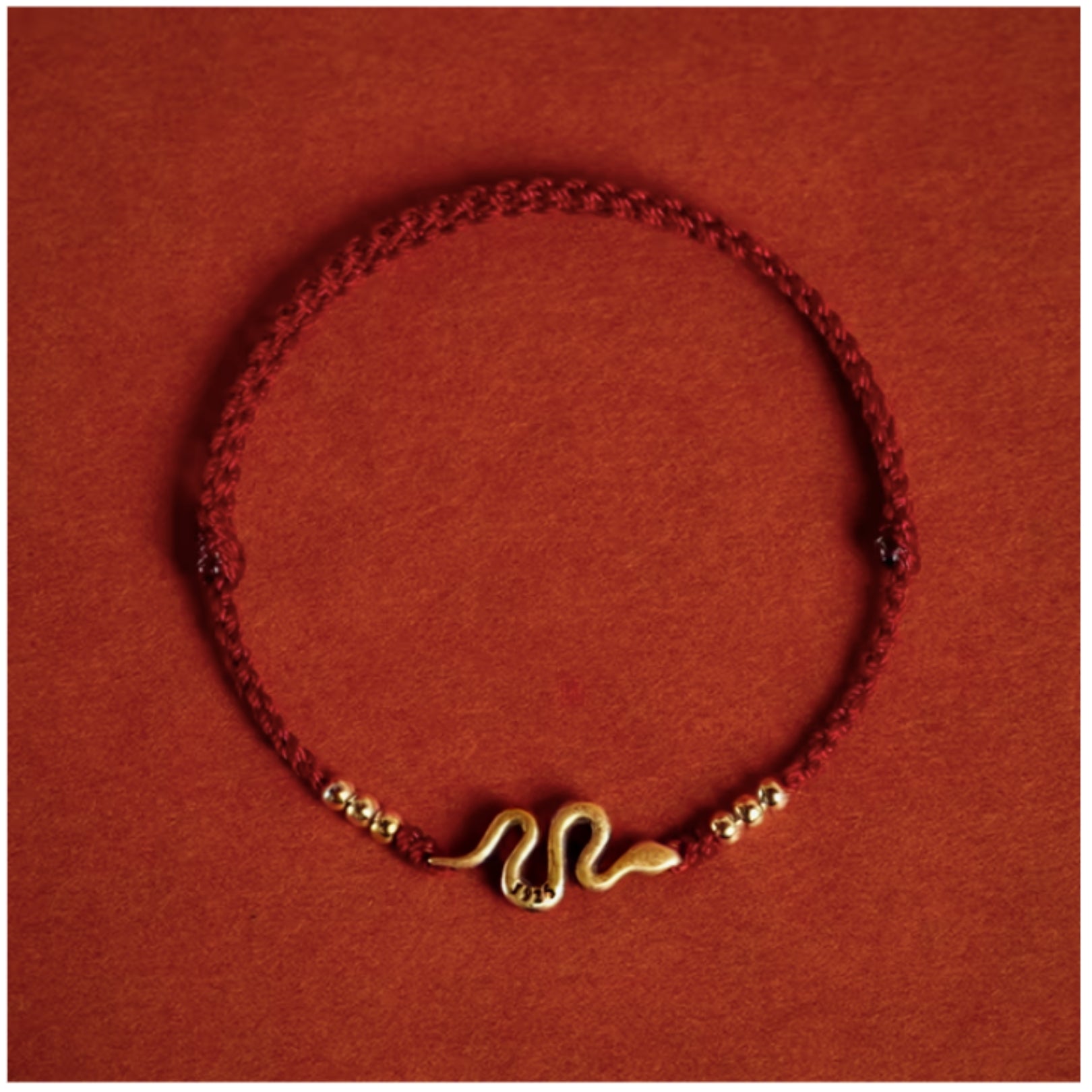 2025 Year of The Snake Lucky Charm Bracelet - Hidden Forever